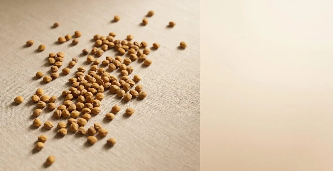 Semi di Psoralea corylifolia e elementi botanici astratti su superficie minimalista naturale