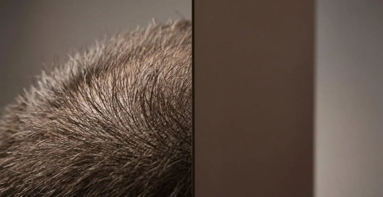 Confronto visivo tra sopracciglia naturali con peli trapiantati e microblading con pigmento piatto