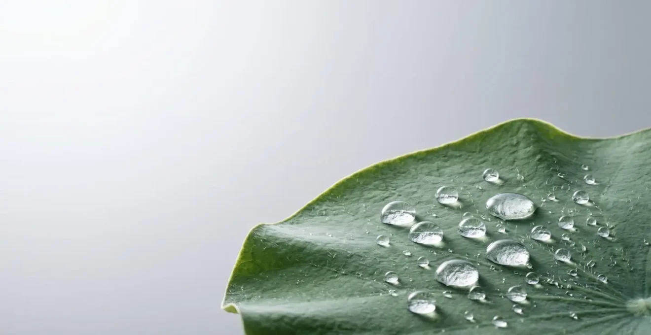 Rappresentazione della differenza tra idratazione e nutrimento della pelle